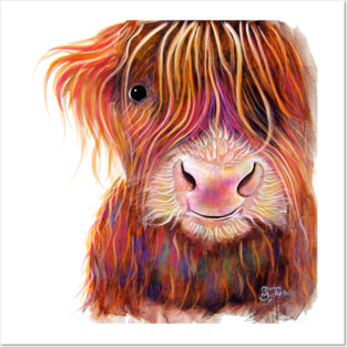 SCoTTiSH HiGHLaND CoW ' THe KiD ' Posters and Art