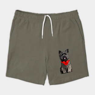 Cairn Terrier Dressed for the Holidays Shorts