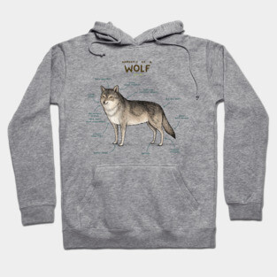 Anatomy of a Wolf Hoodie