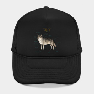 Anatomy of a Wolf Hat