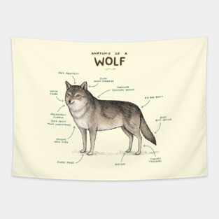 Anatomy of a Wolf Tapestry