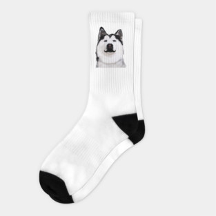Husky Dog Socks