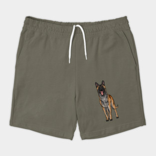 Belgian Malinois | Belgian Shepherd Dog Shorts