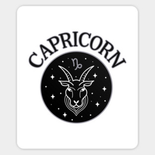 Capricorn Star Sign Zodiac Horoscope Cheeky Witch® Magnet