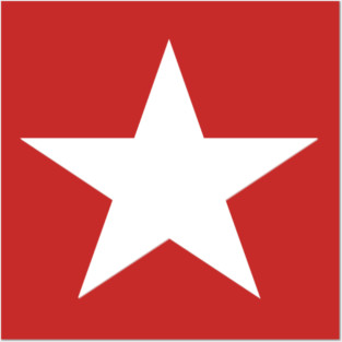 Terry Bogard Star Posters and Art