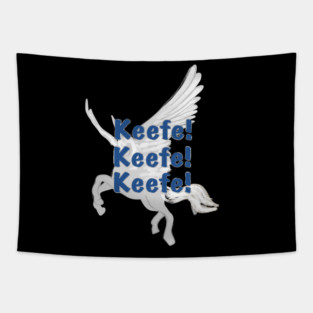 Keeper of the Lost Cities gift, Keefe, Silveny, KOTLC Tapestry