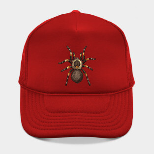 Tarantula Hat