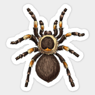 Tarantula Sticker