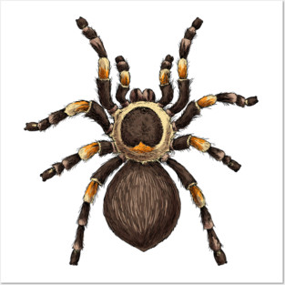 Tarantula Posters and Art