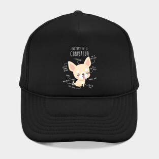 Chihuahua Anatomy Hat