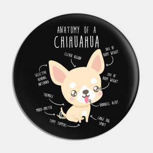 Chihuahua Anatomy Pin