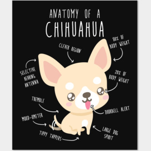 Chihuahua Anatomy Posters and Art