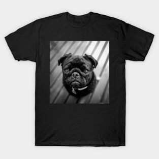 Little Black Pug Dog T-Shirt