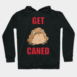 the cane toad Hoodie