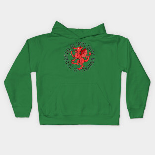 Heraldic Welsh Dragon Kids Hoodie