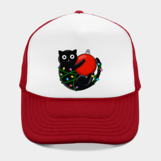 Cat and Christmas Hat