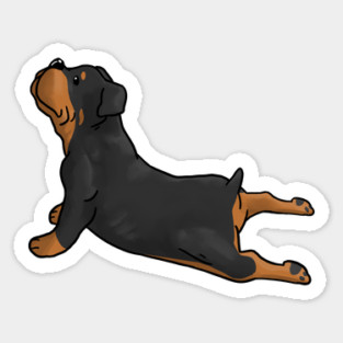 Rottweiler Yoga Pose Sticker