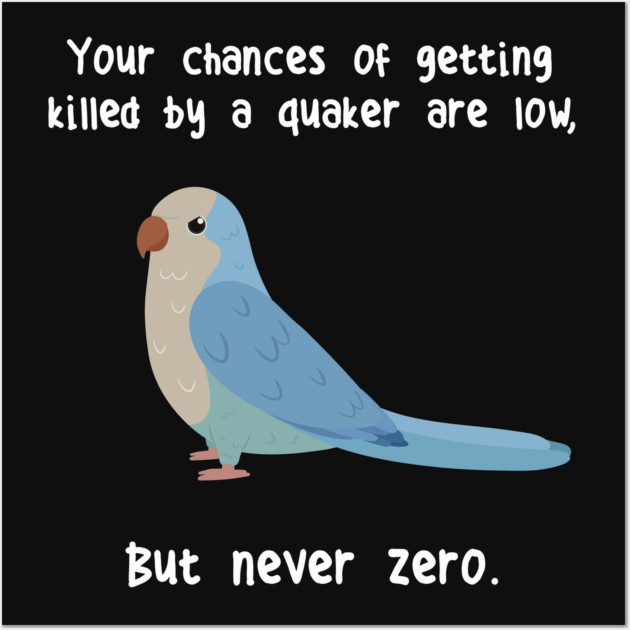 Blue Quaker Parrot Never Zero Quaker Posters and Art Prints