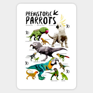 Prehistoric Parrots Magnet