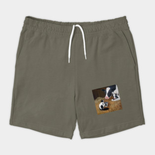 Tuxedo Cat with Cow and Calf Shorts