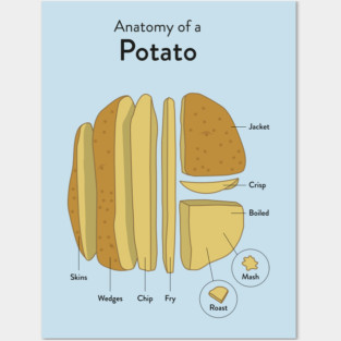 Anatomy of a potato Posters and Art