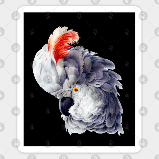 Gift for Parrot Lover Mom Vintage Cockatoo Owner Sticker by Joaddo