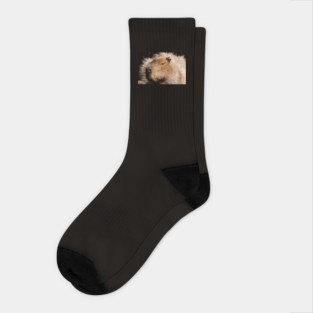 Capybara Socks