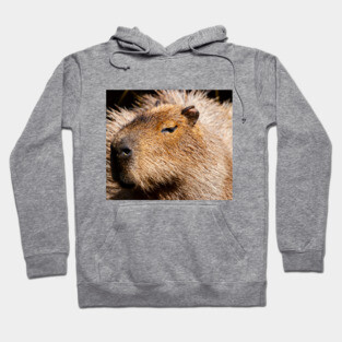 Capybara Hoodie