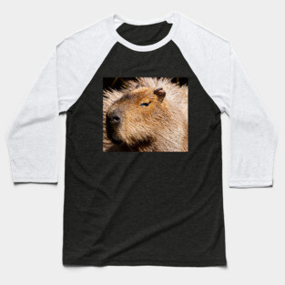 Capybara Baseball T-Shirt