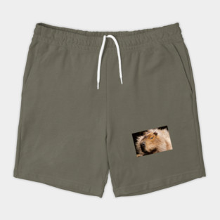 Capybara Shorts