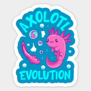 Funny Axolotl Lover Mexican Salamander Evolution Magnet