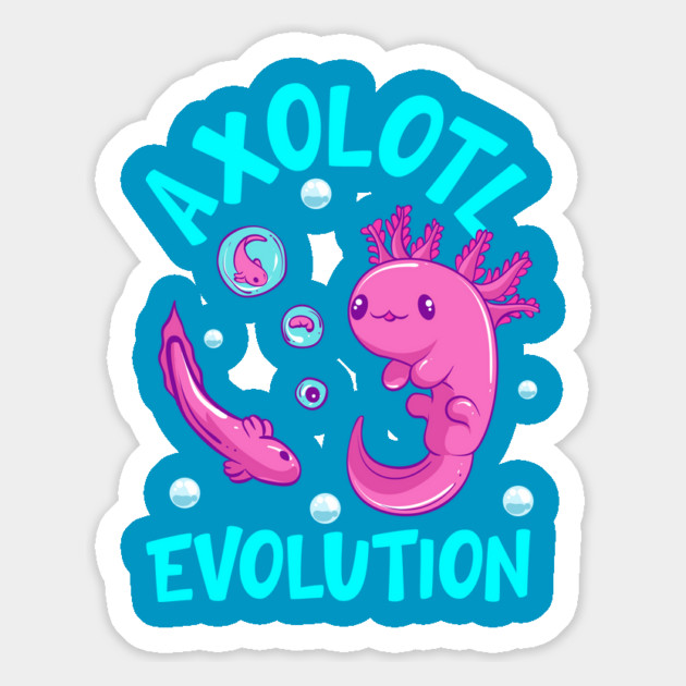 Funny Axolotl Lover Mexican Salamander Evolution Magnet by creative