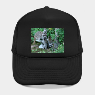Raccoon Mom with 4 Kits Hat