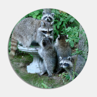 Raccoon Mom with 4 Kits Pin