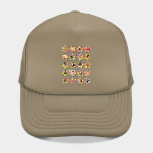 Retro Pro Wrestling Stars Hat
