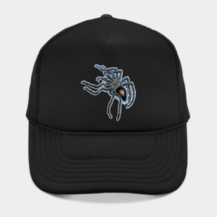 Tarantula Spider Hat