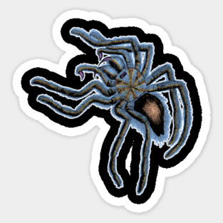 Tarantula Spider Sticker