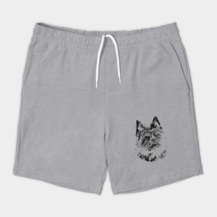 Cairn Terrier gift for Cairn Owners Shorts