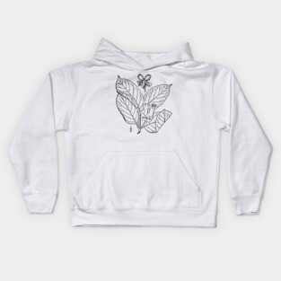 Botanical Scientific Illustration Black and White - Lonicera involucrata Kids Hoodie