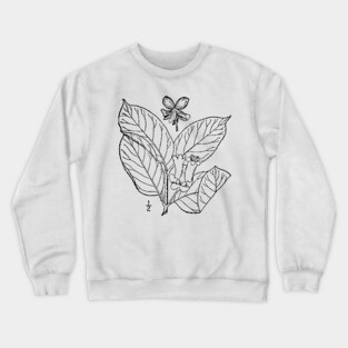 Botanical Scientific Illustration Black and White - Lonicera involucrata Crewneck Sweatshirt
