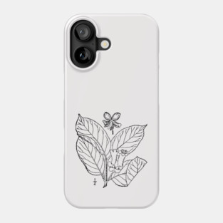 Botanical Scientific Illustration Black and White - Lonicera involucrata Phone Case