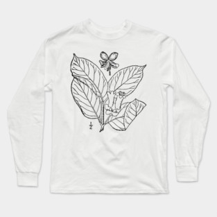Botanical Scientific Illustration Black and White - Lonicera involucrata Long Sleeve T-Shirt