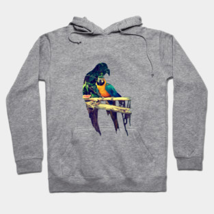 Parrot Hoodie