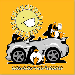 Sun out top down Posters and Art