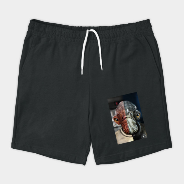 Ackbar&Raddus by Isatonic Multiverse