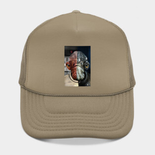 Ackbar&Raddus Hat