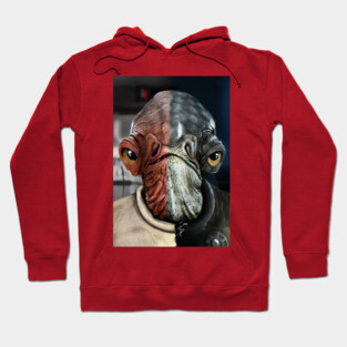 Ackbar&Raddus Hoodie