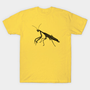 Praying Mantis - hand drawn detailed animal lovers design T-Shirt