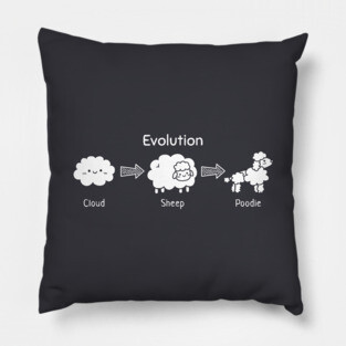 Evolution of Cloud To Sheep And Poodle Pillow