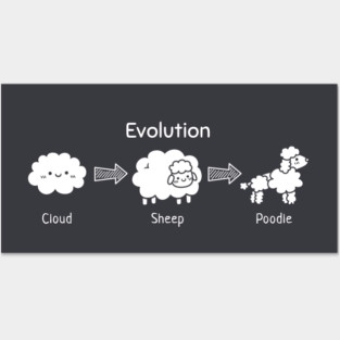 Evolution of Cloud To Sheep And Poodle Posters and Art
